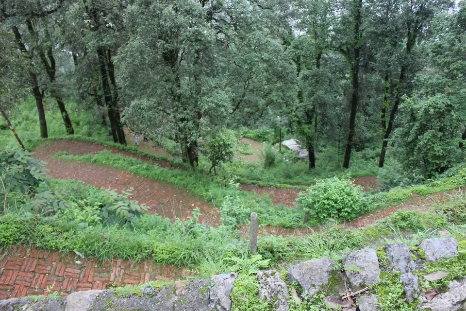 Photo of Amtul Public School, Ayarpatta, Nainital, Uttarakhand, India by Lucky