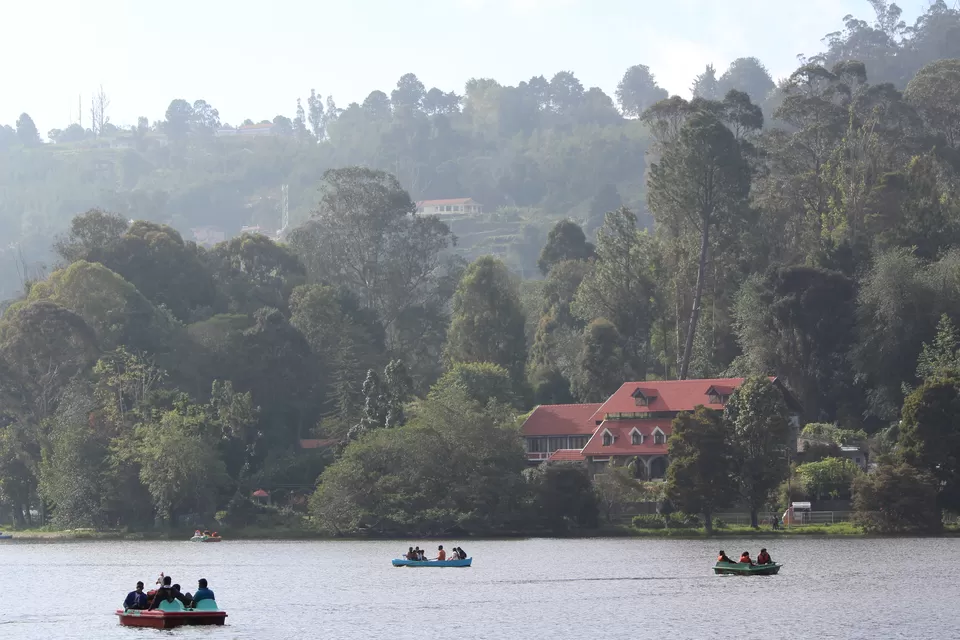 Photo of Kodaikanal Lake, Kodaikanal, Tamil Nadu by pd_live2travel