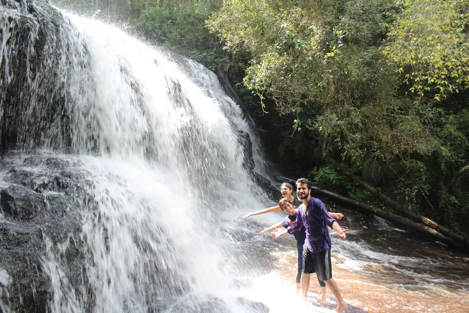 Photo of Vattakanal, Kodaikanal, Tamil Nadu, India by pd_live2travel