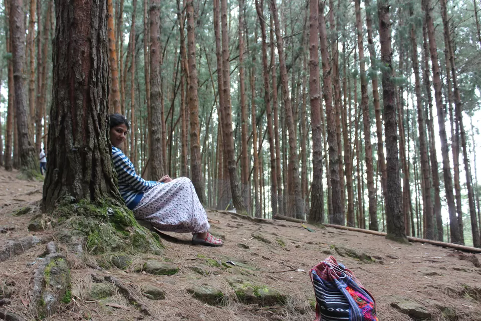 Photo of Vattakanal, Kodaikanal, Tamil Nadu, India by pd_live2travel