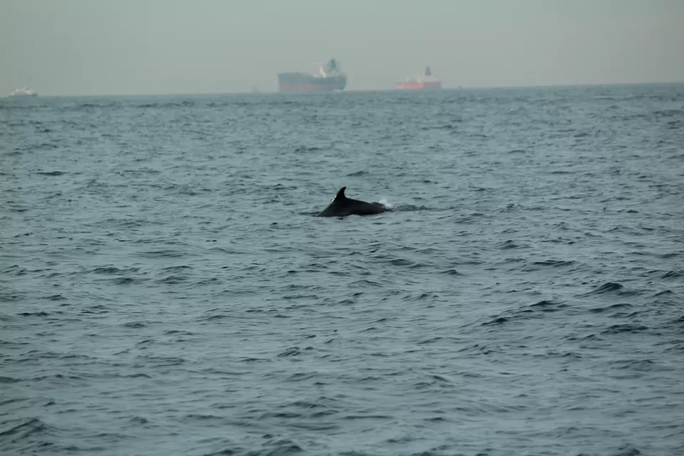 Photo of Sea of Marmara by pd_live2travel