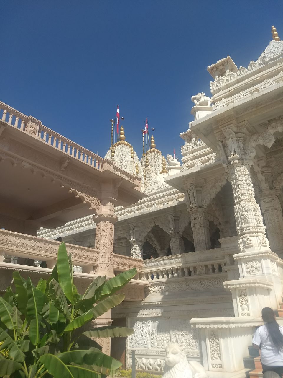 Photo of Whitest & most intricately carved temple you can see in India! by pd_live2travel