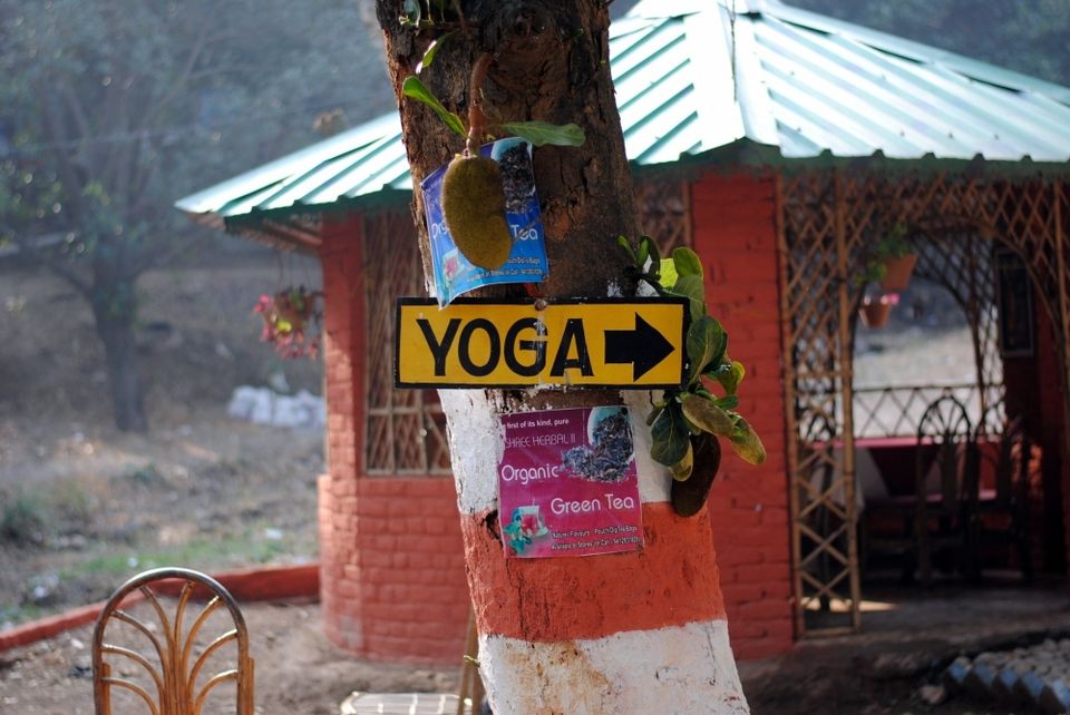 Photo of Rishikesh, yoga and baba bags by debanish