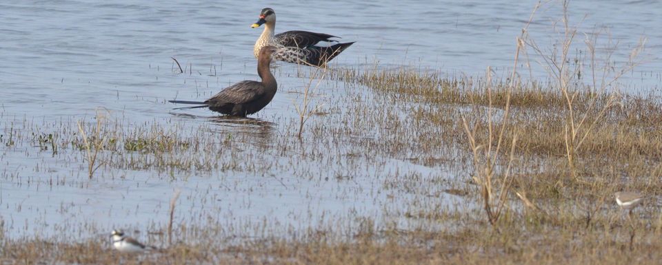 Photo of Satpura Tiger Reserve, Madhai, Madai, Madhya Pradesh, India by Rimjhim Mukherjee