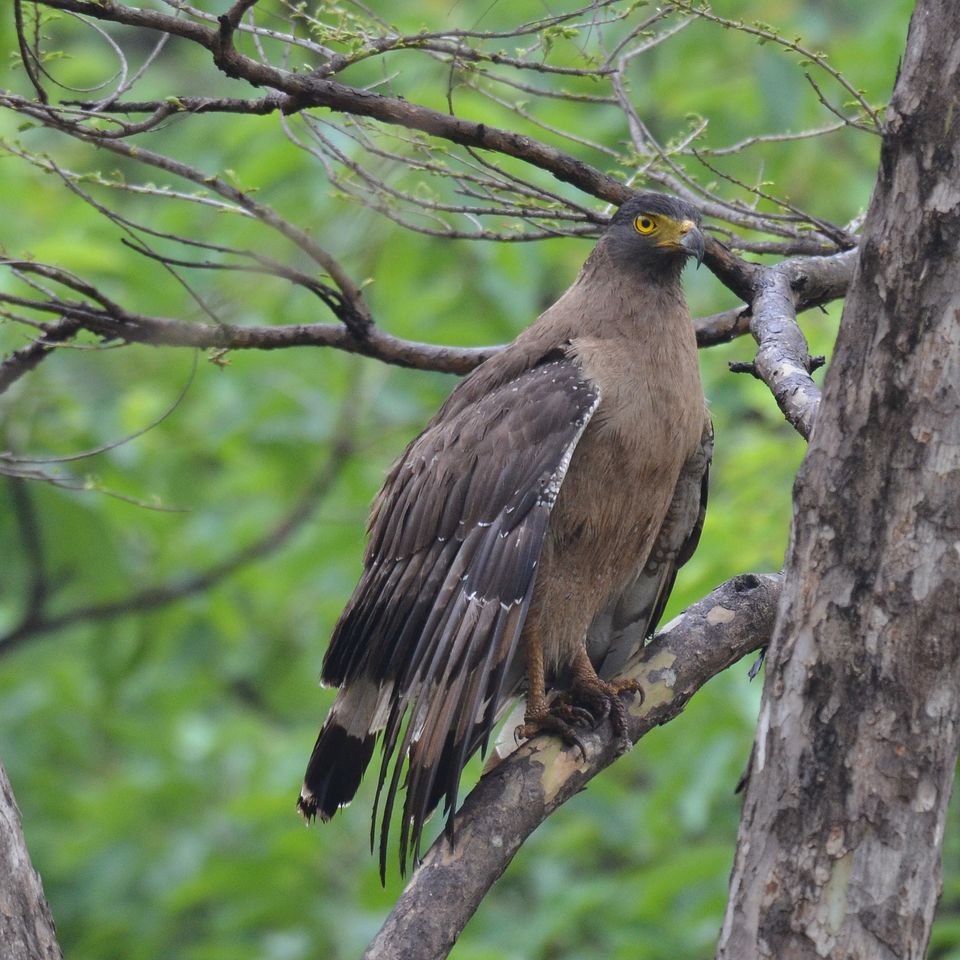 Photo of LIKE OFF THE TRACK WILDERNESS? SAY HELLO TO NAGPUR'S HIDDEN GEM. by Rimjhim Mukherjee
