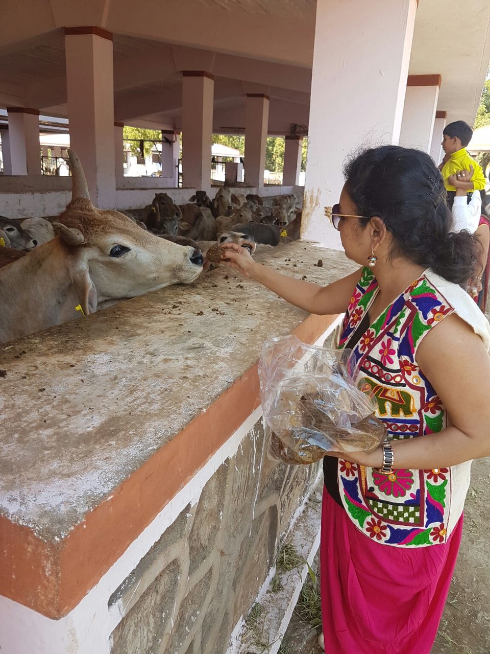 Photo of Shree Pavapuri Tirth - Jeev Maitridham, Sirohi, Rajasthan, India by Khilna Haria