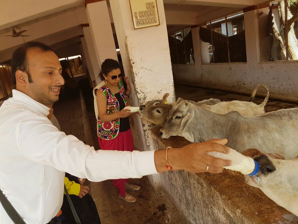 Photo of Shree Pavapuri Tirth - Jeev Maitridham, Sirohi, Rajasthan, India by Khilna Haria