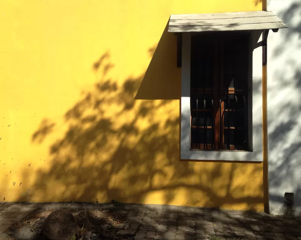Photo of The French Colony by Vimal Kumar