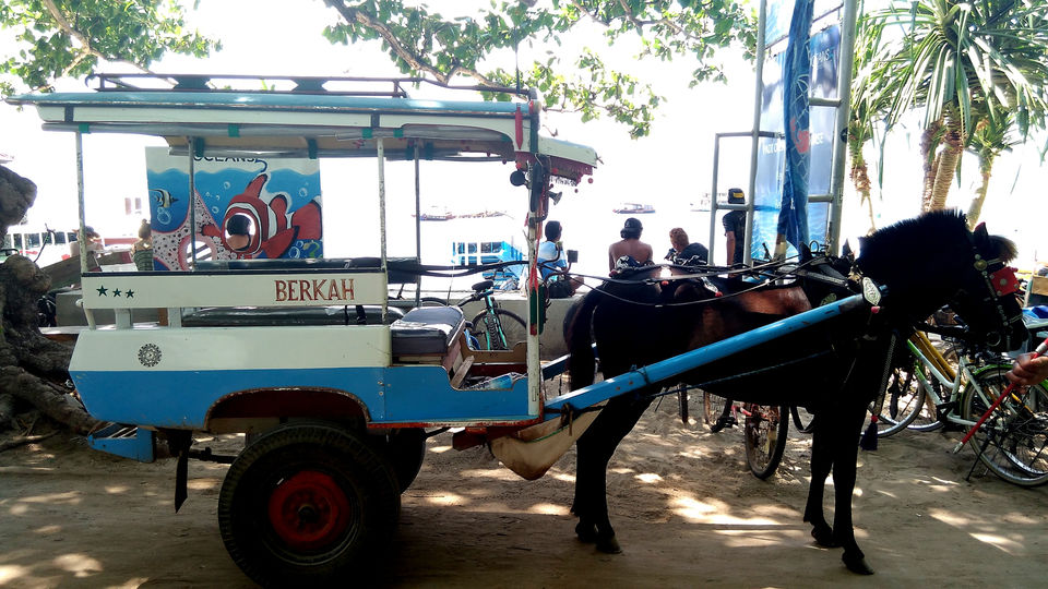 Photo of Gili Air: A Procrastinator's Paradise by Chandroma Ray