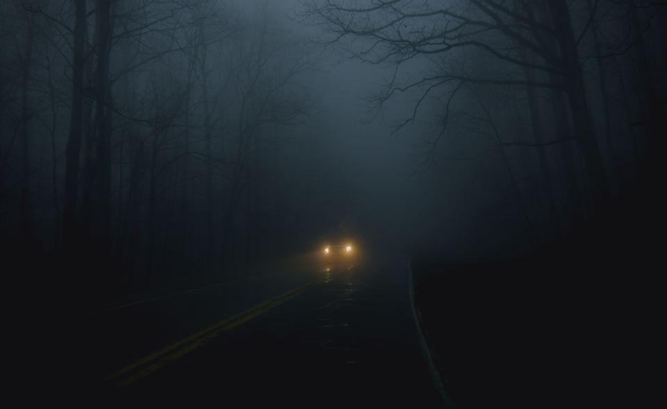 Photo of That night at Aarey Colony…#scarystory by Leena S.