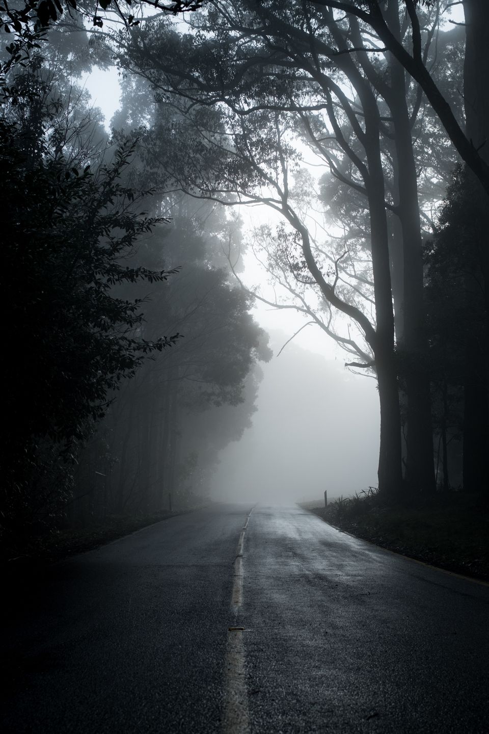 Photo of That night at Aarey Colony…#scarystory 1/3 by Leena S.