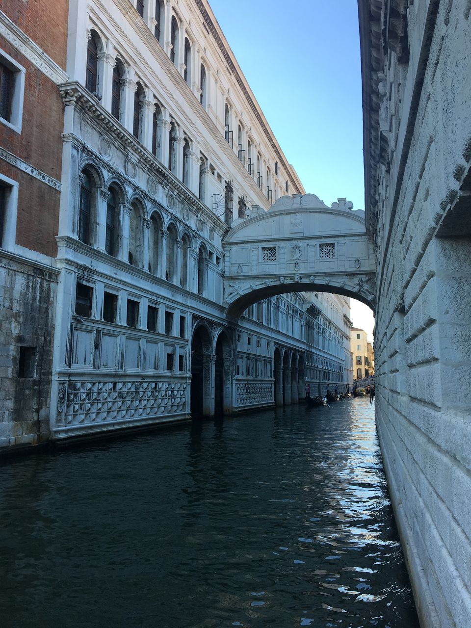 Photo of Gondola Rides, Venice, Metropolitan City of Venice, Italy by Leena S.