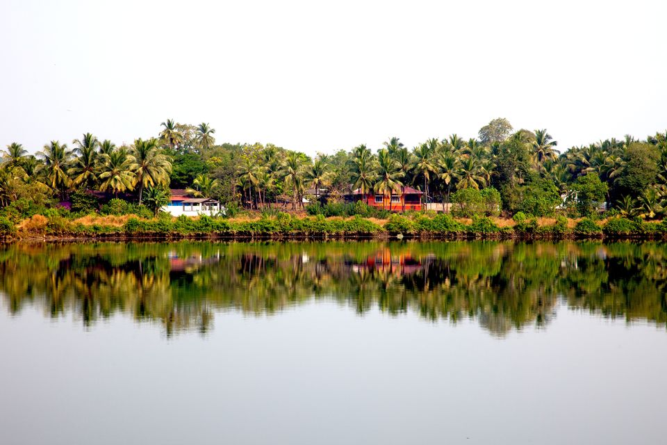 Photo of Here's an itinerary where Calangute and Baga don't exist #offbeatgoa by Leena S.