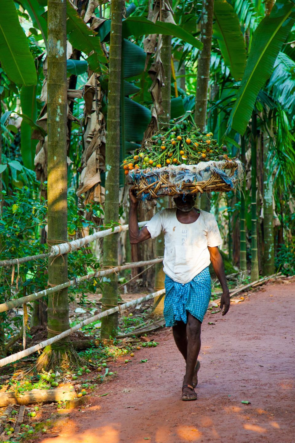Photo of Here's an itinerary where Calangute and Baga don't exist #offbeatgoa by Leena S.