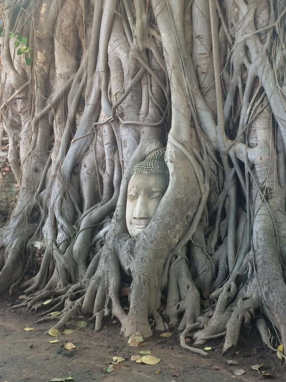 Photo of Unseen Thailand 14/15 by Amit