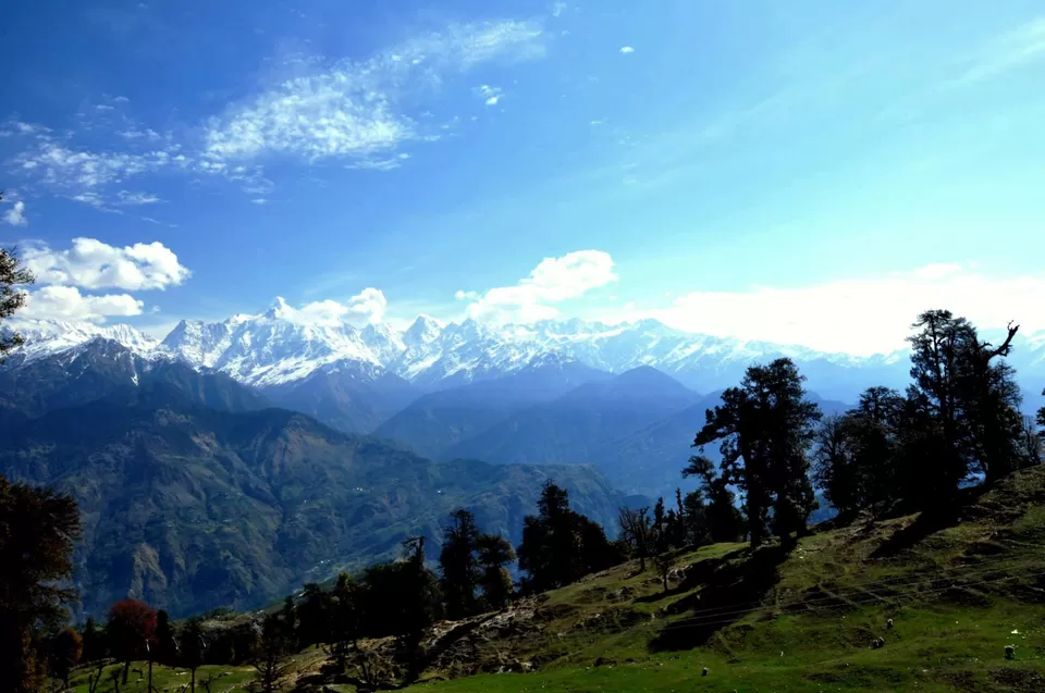 Photo of Munsiyari, distt. Pithoragarh by Rajendra Makharia