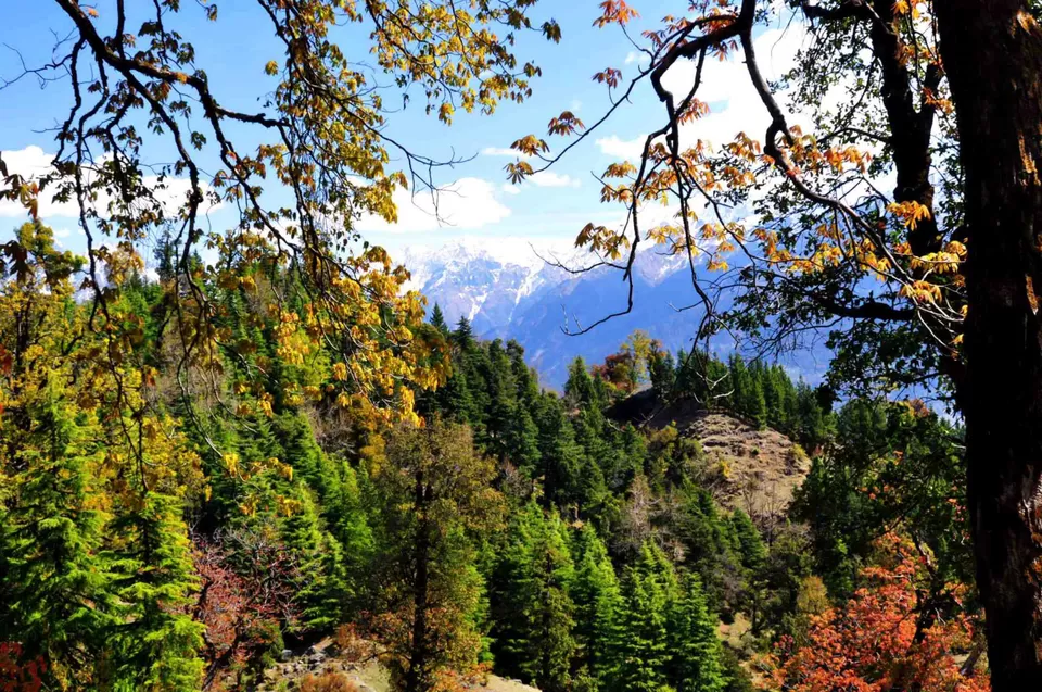 Photo of Munsiyari, distt. Pithoragarh by Rajendra Makharia