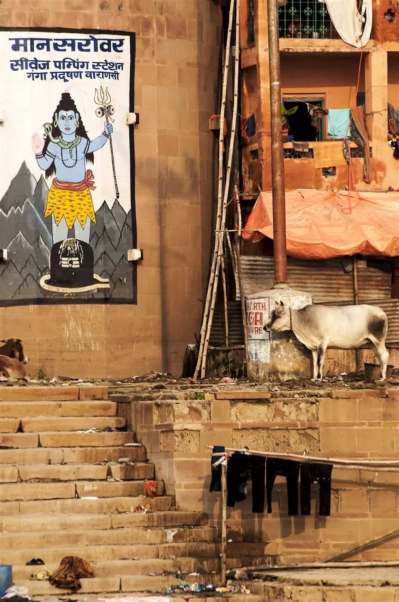 Photo of Varanasi by Rajendra Makharia