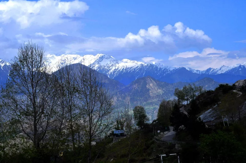 Photo of Munsiyari, distt. Pithoragarh by Rajendra Makharia