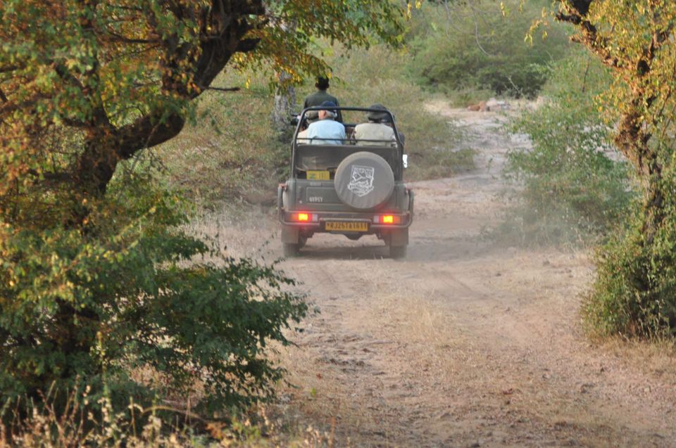 Photo of Ranthambore National Park 6/24 by Rajendra Makharia