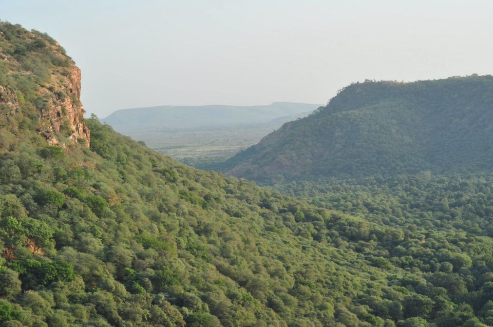 Photo of Ranthambore National Park 4/24 by Rajendra Makharia