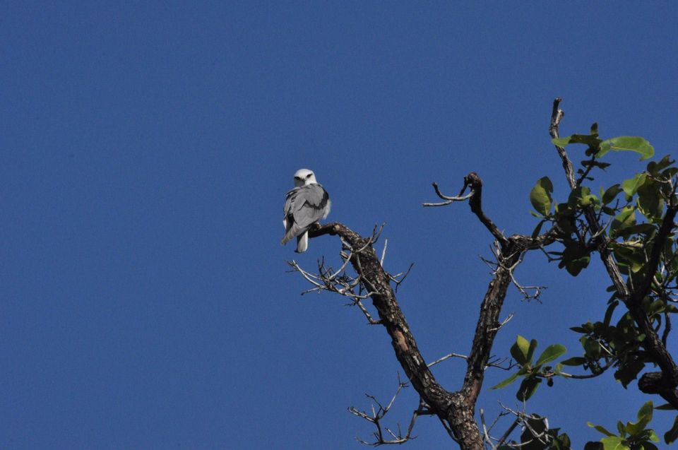 Photo of Ranthambore National Park 12/24 by Rajendra Makharia