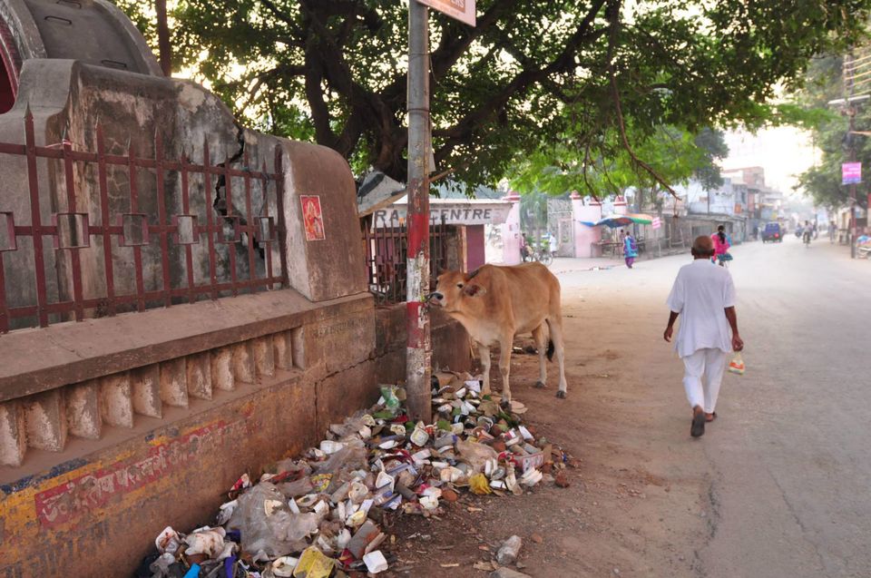Photo of From Banaras to Varanasi by Rajendra Makharia
