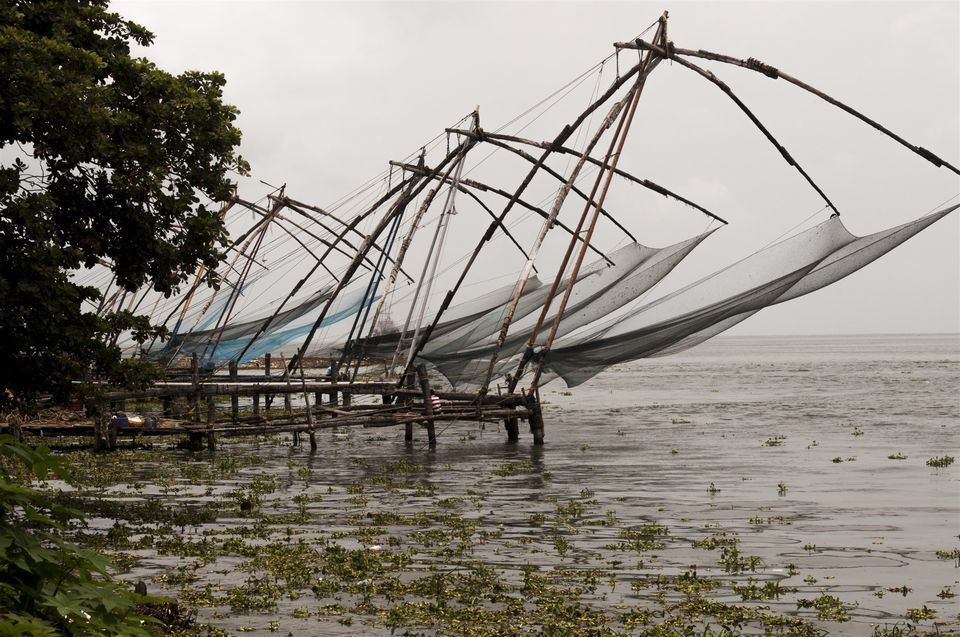 Photo of Kochi: The spice of Malabar Coast of India 2/6 by Rajendra Makharia