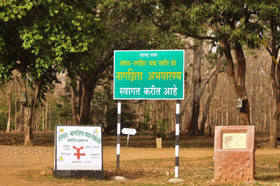 Photo of Nagzira - A destination for wildlife lovers 1/9 by Rajendra Makharia