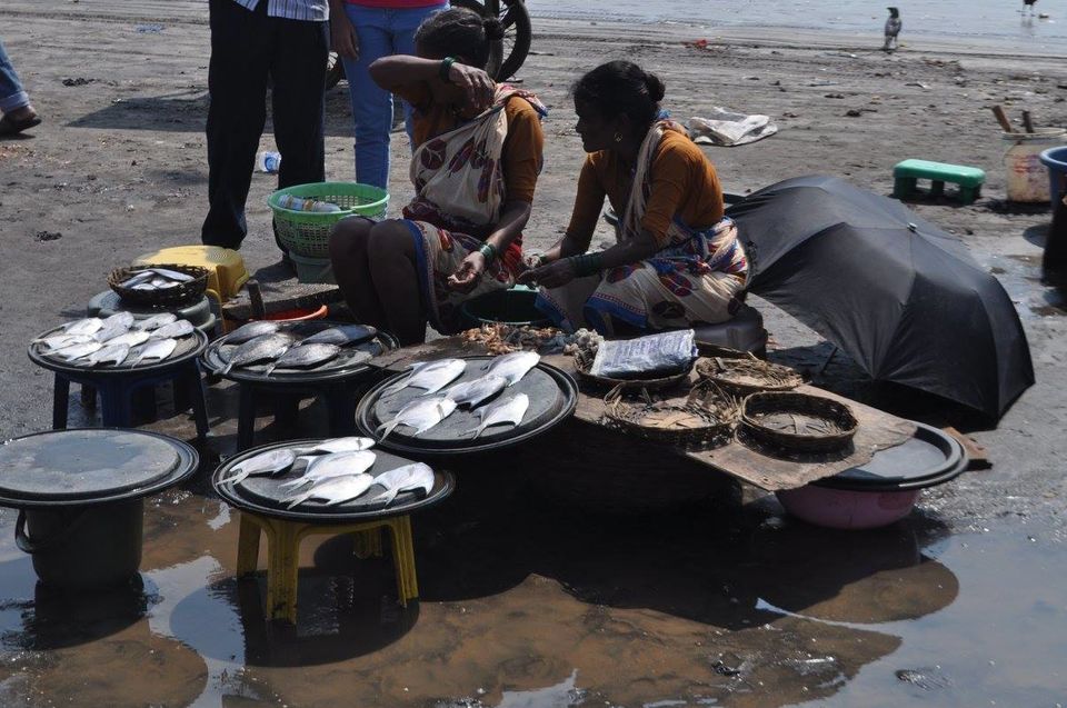 Photo of Fish Auction at Harne Dapoli 2/2 by Pravasibaba