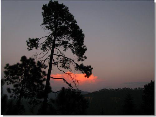 Photo of Kausani, Uttarakhand, India by Mrittika Paul