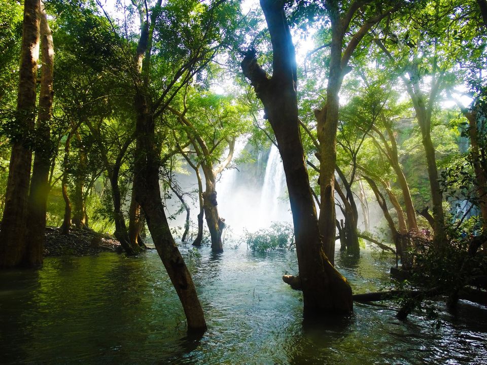 Photo of Did you know about this hidden Oasis of Rajasthan- Rawatbhata?  6/7 by Yogesh Chauhan