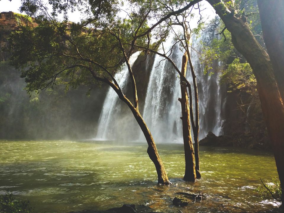 Photo of Did you know about this hidden Oasis of Rajasthan- Rawatbhata? 7/7 by Yogesh Chauhan