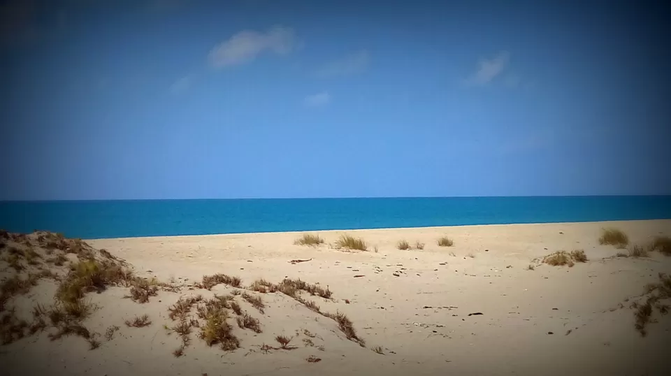 Photo of Dhanushkodi, Dhanushkodi, Tamil Nadu, India by Srijani Banerjee