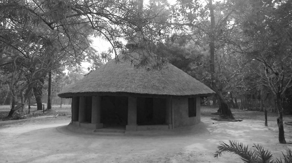 Photo of Lal Paharir Deshe: A trip to the land of red soil #BestOfTravel 12/20 by Srijani Banerjee