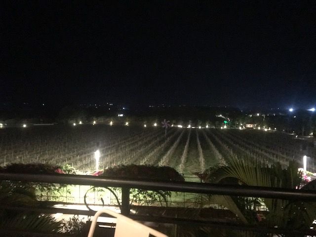 Photo of Sula Vineyards- A perfect weekend gateway for Wine-lovers 4/4 by PeakandTroughs (Robin Gupta)