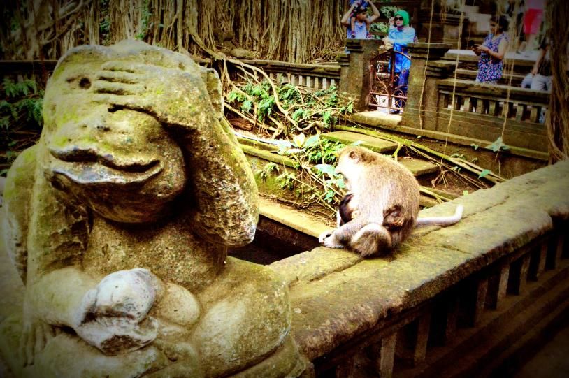 Photo of The Bali Verses 21/24 by Apoorva Anubhuti