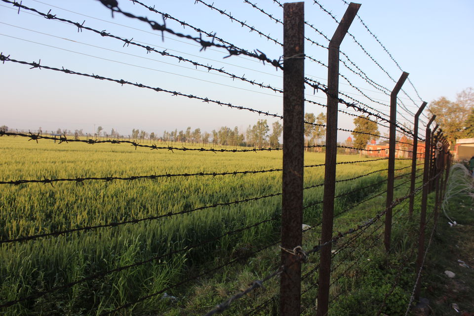 Photo of Amritsar to Dharmashala : A Winter Journey 5/10 by Abhinav Sharma