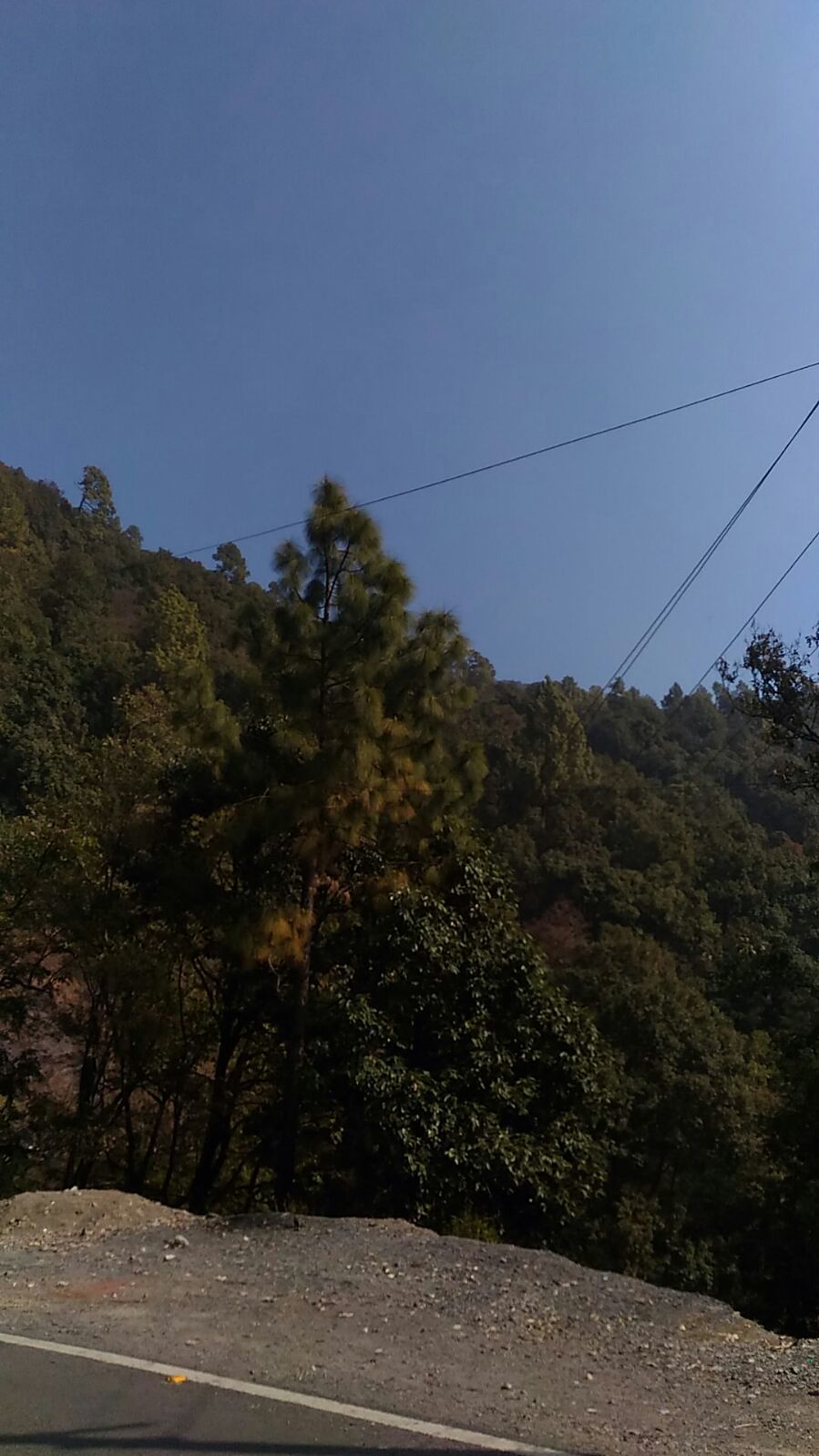 Photo of On the go jaunt 6/6 by Chetanya Aneja