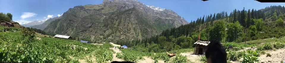 Photo of Manali, Himachal Pradesh, India by Chetanya Aneja