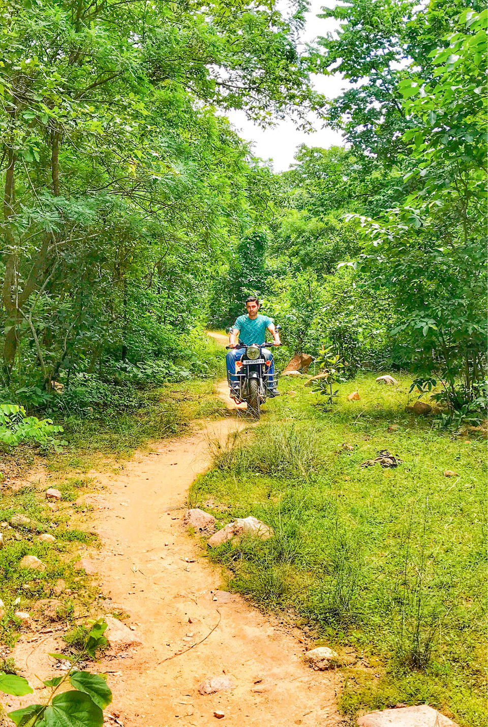 Photo of Debrigarh Wildlife Sanctuary: India’s Best Kept Secret by Ankeet Panda