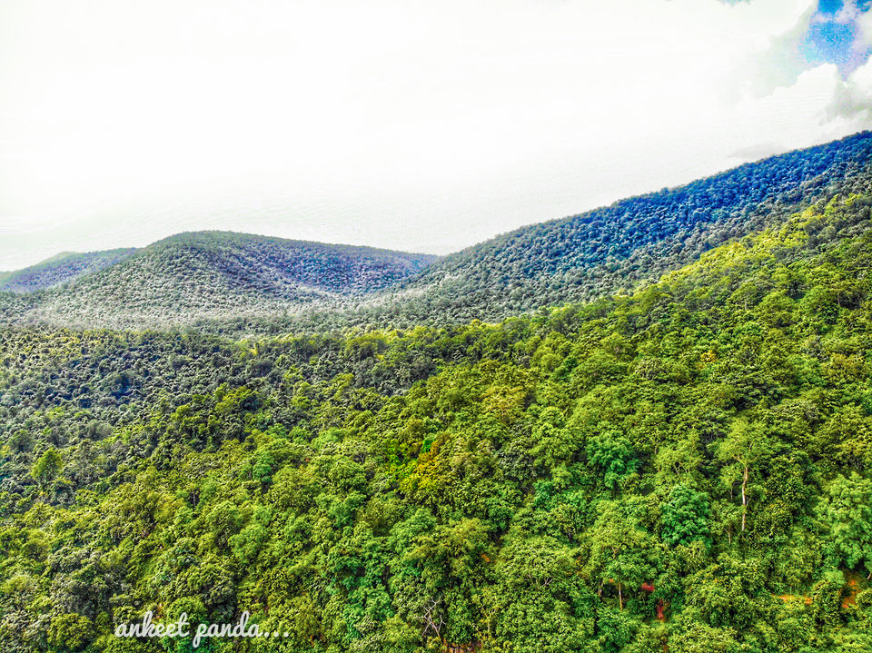 Photo of Debrigarh Wildlife Sanctuary: India’s Best Kept Secret by Ankeet Panda