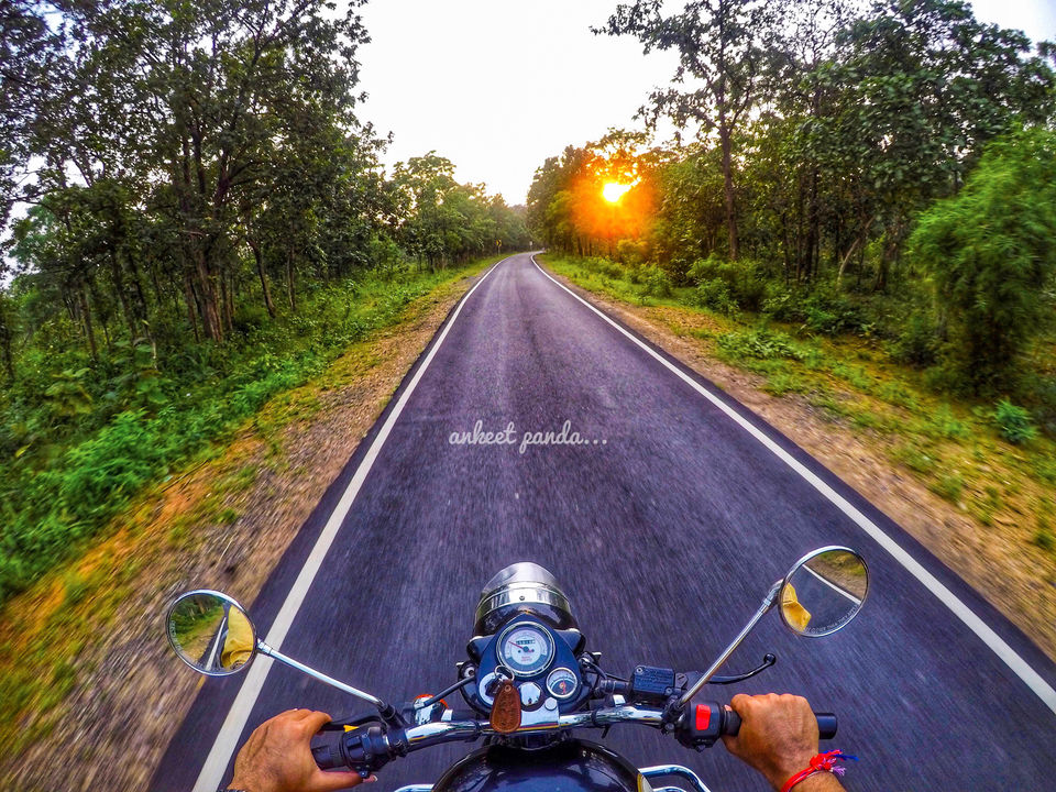 Photo of Debrigarh Wildlife Sanctuary: India’s Best Kept Secret by Ankeet Panda