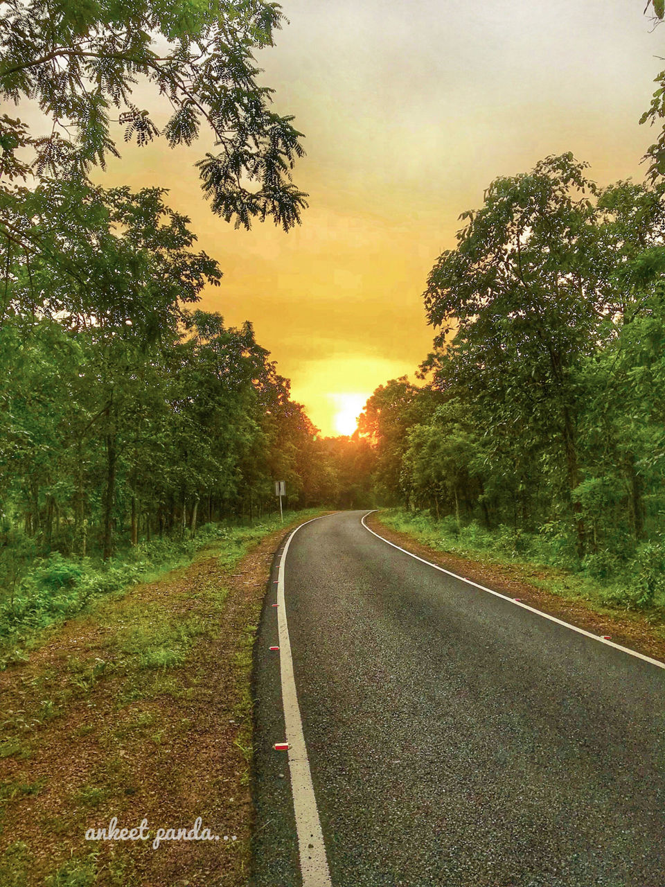 Photo of Debrigarh Wildlife Sanctuary: India’s Best Kept Secret by Ankeet Panda