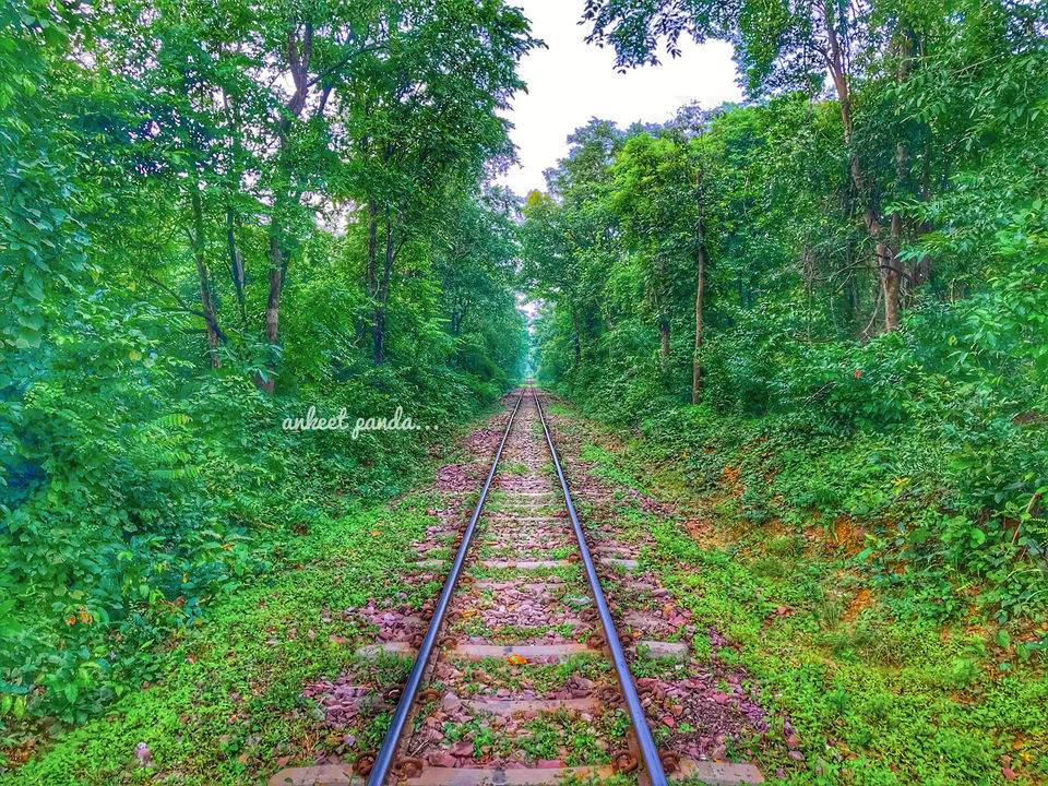 Photo of Debrigarh Wildlife Sanctuary: India’s Best Kept Secret by Ankeet Panda