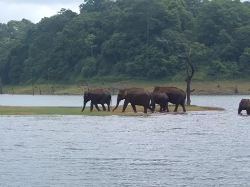 Photo of Hotel Karar Garden Thekkady, Kumily, Kerala, India by Nikhil Thomas