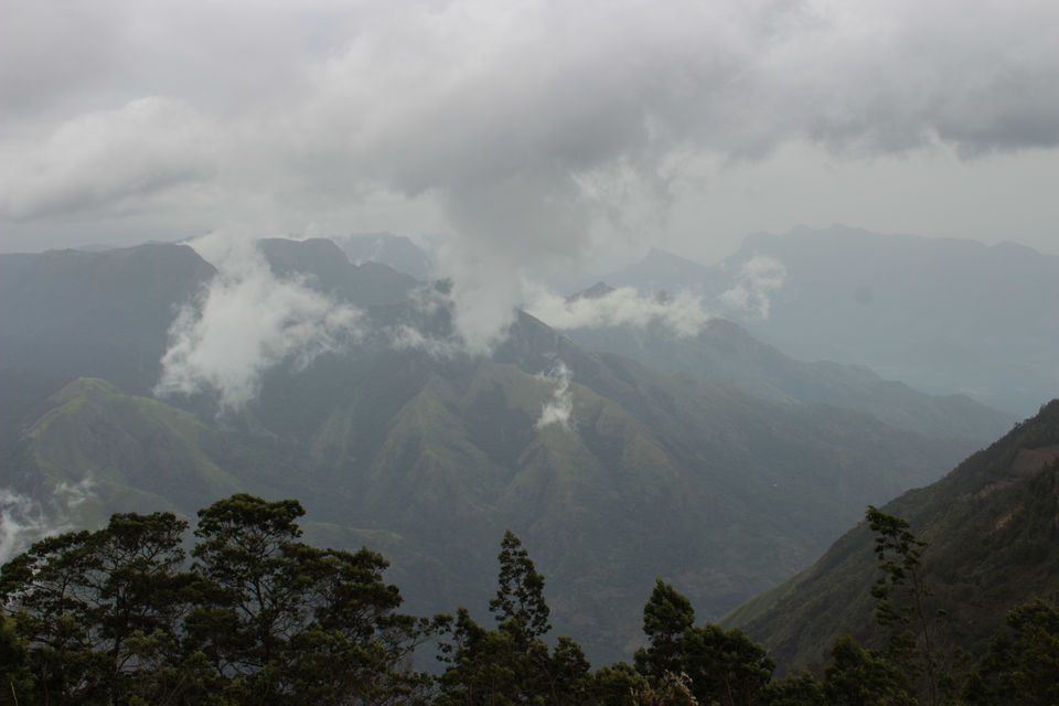 Photo of A Monsoon Trek to Meesapulimala 11/16 by Deepu Shibu