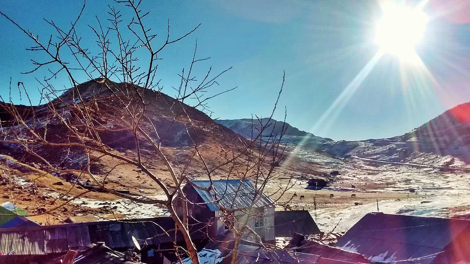 Photo of Nathang Valley, Sikkim 737131, India by Paushali Majumder