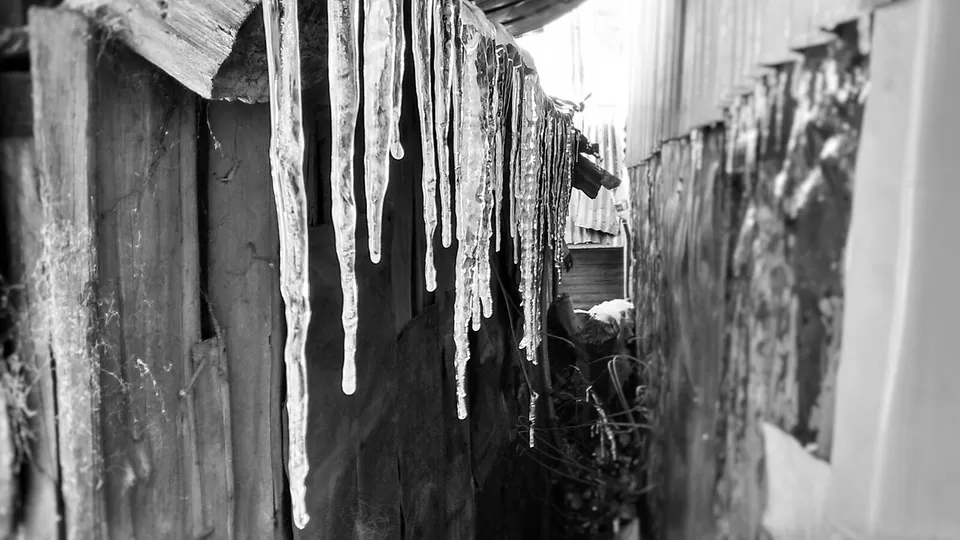 Photo of Nathang Valley, Sikkim 737131, India by Paushali Majumder