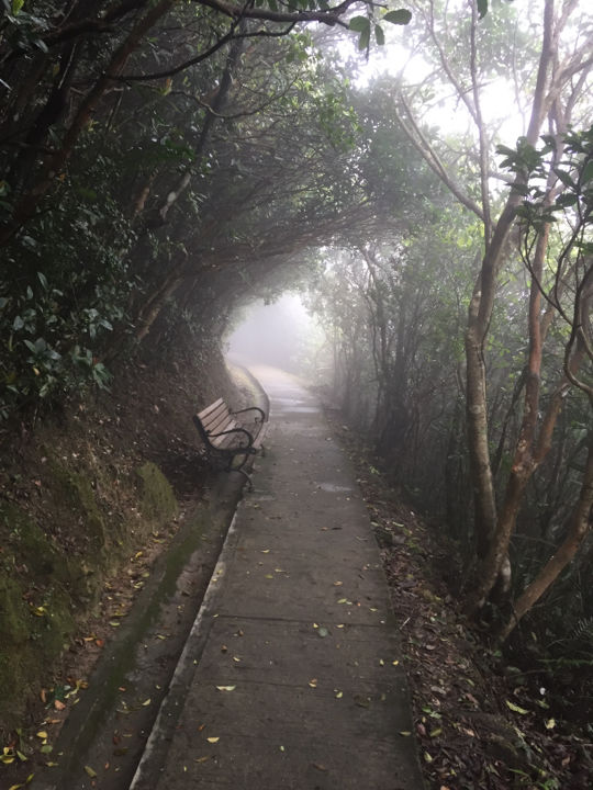 Photo of Hong Kong Island by Joshua Leigh Rau